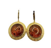 Orecchini Domar Donna Ambra in Argento Ambra AMBER-OR-2-280
